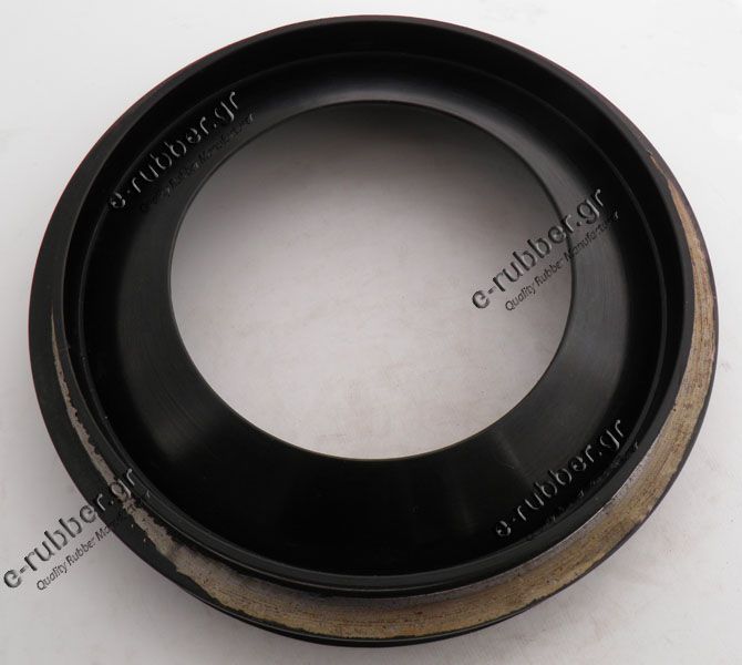 Seal 125x180x13,49